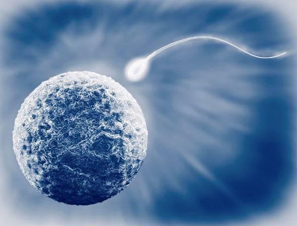 弱精症怎么轻松怀孕？科学备孕“助你好孕”