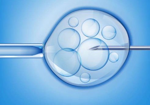 什么是供卵试管移植？供卵自孕成功率高吗？